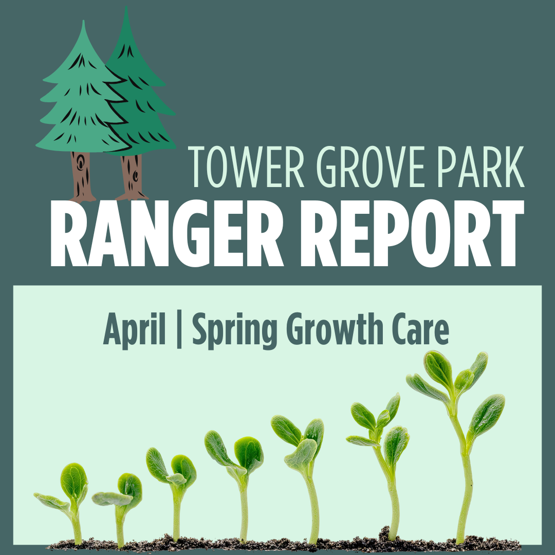 April 2026 Ranger Report: Spring Growth Care