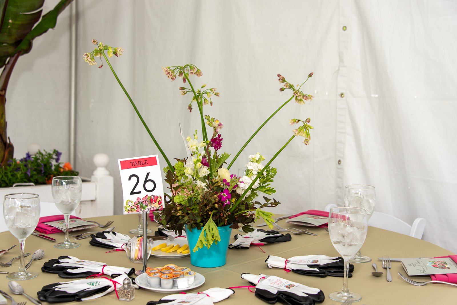 WEB SIZE Flower Power 26-24.jpg