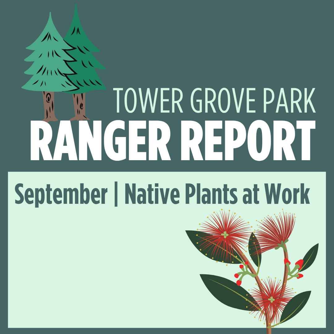 September 2026 Ranger Report: Native Plants at Work