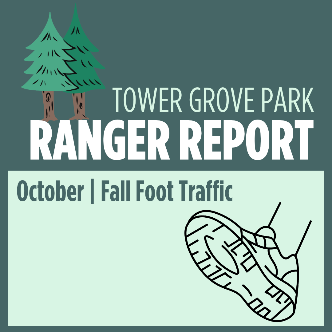 October 2026 Ranger Report: Fall Foot Traffic