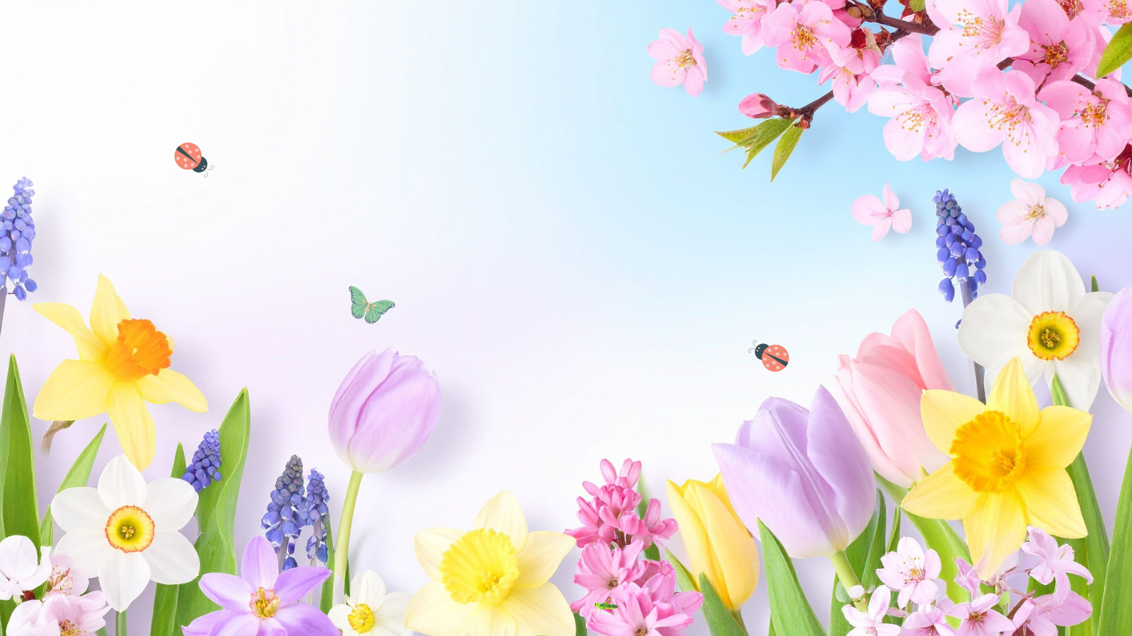 _Volunteer Appreciation Celebration 2026 Graphic ONLY.png