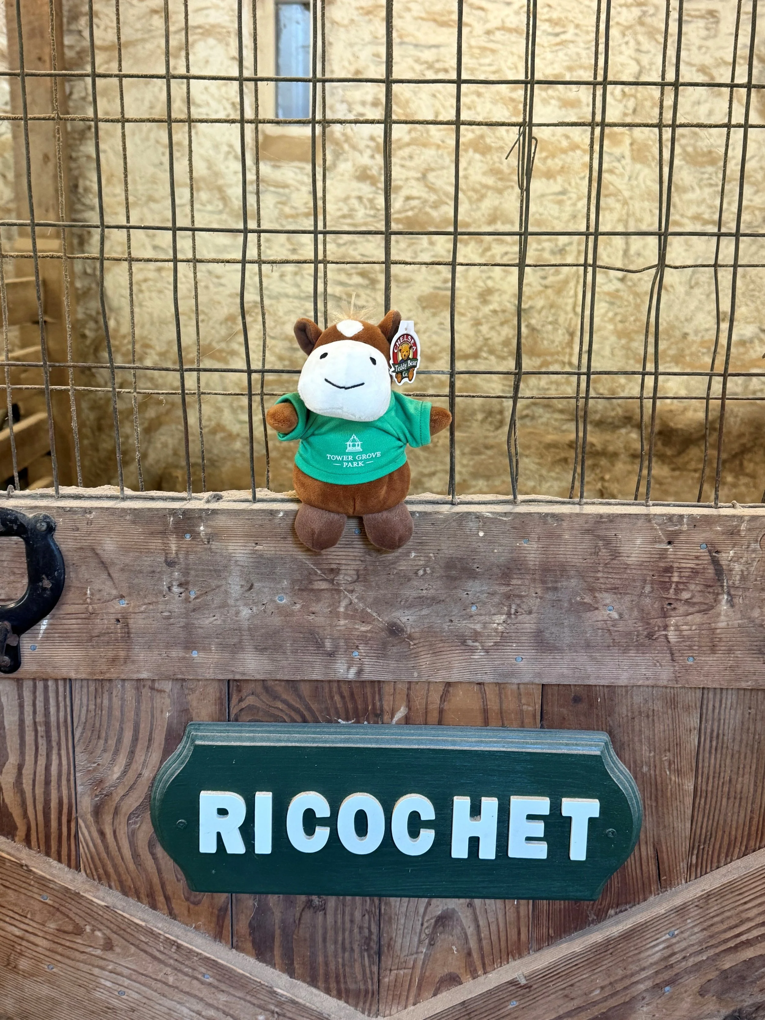 ricochet 2.jpg