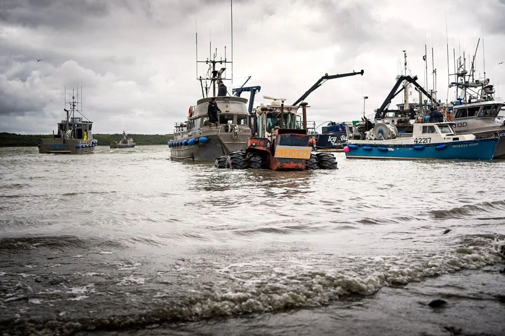 The F/V Sumo is launched by tractor into the Naknek River.