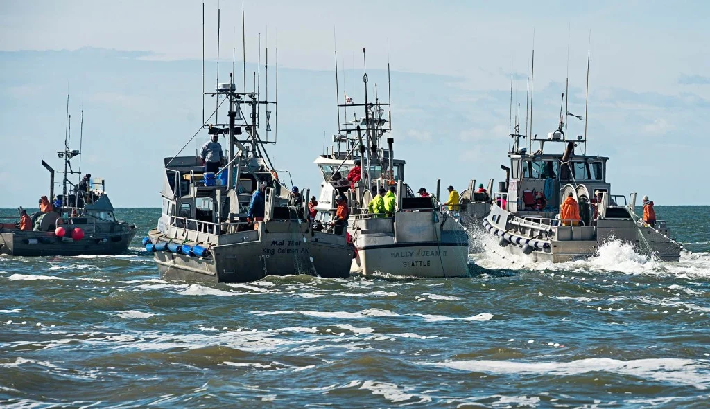 Things can get a little crowded along fishing district boundary lines because that’s where the fish enter legal catching territory. Here, three boats have deployed their nets parallel to the Egegik district’s north line and each other as the ebb tide sweeps them slowly south.