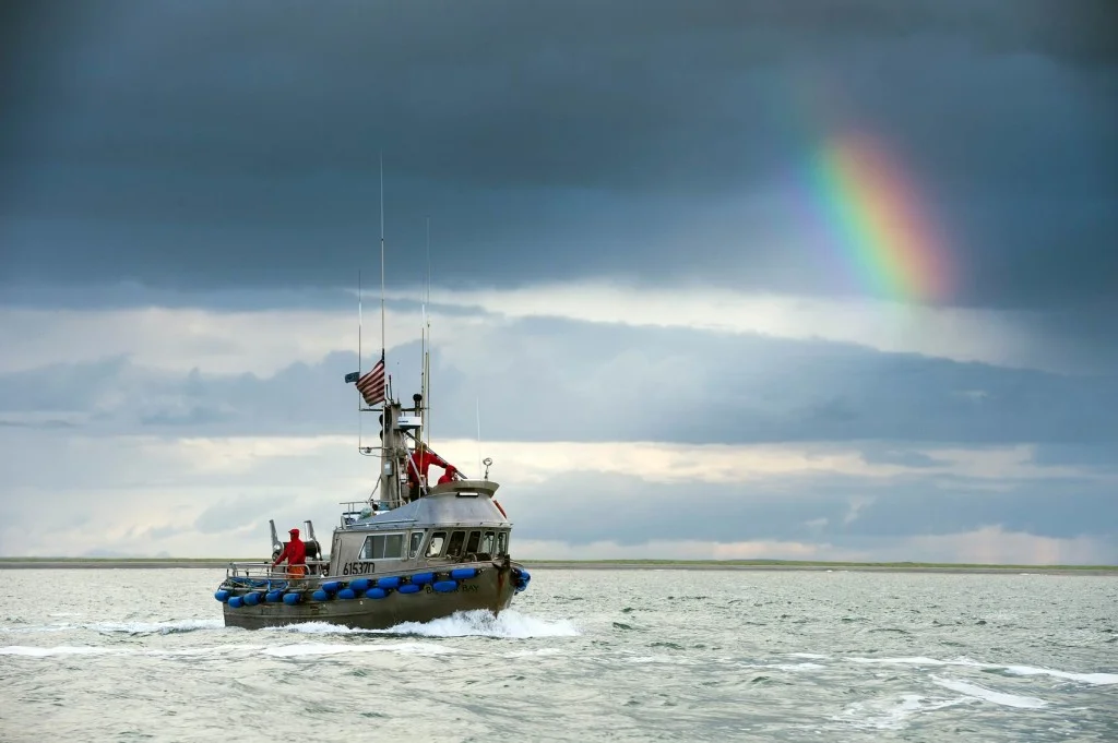 We could not imagine a more beautiful or appropriate photo for the 4th than this stunning photo of a gillnetter underway with a flag at the masthead. Remember to grill Bristol Bay sockeye this weekend, and have a safe, happy Independence Day!