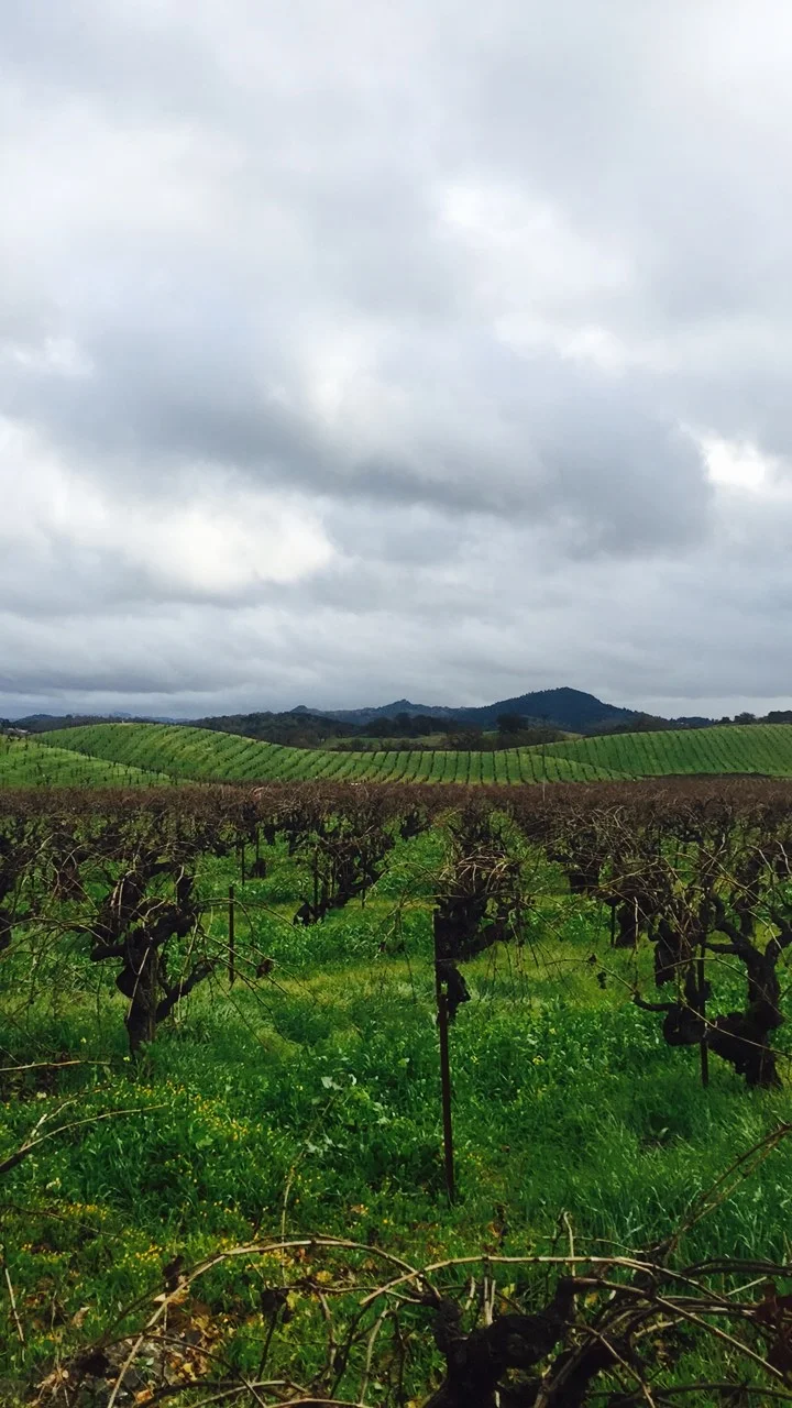 Pretty gnarly, eh?&nbsp;