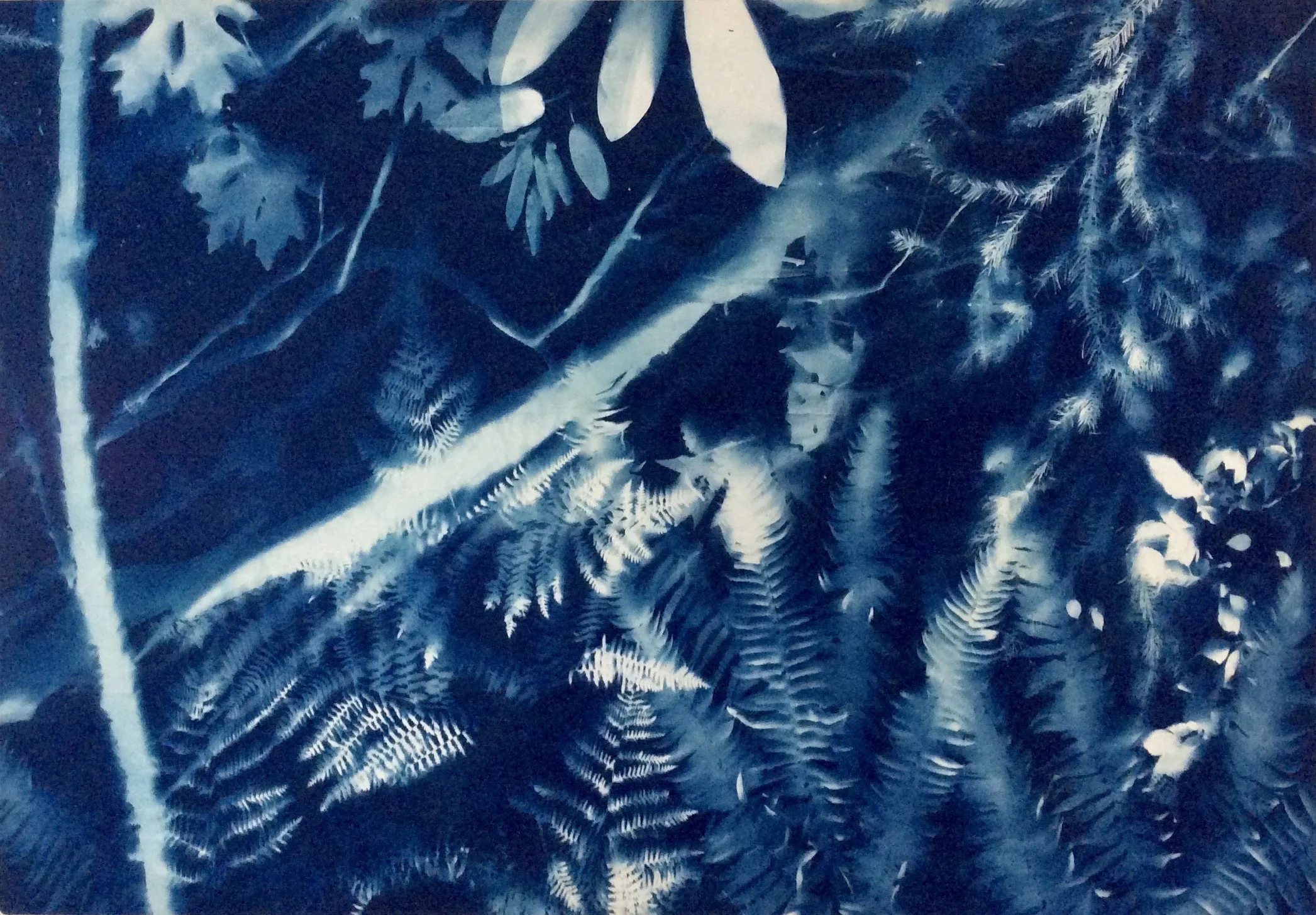 A Conversation with Allison Svoboda,                      May Featured Artist