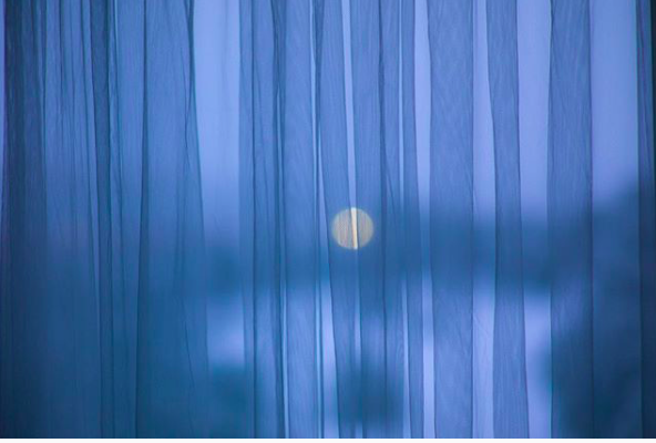 Landscape through Fabric