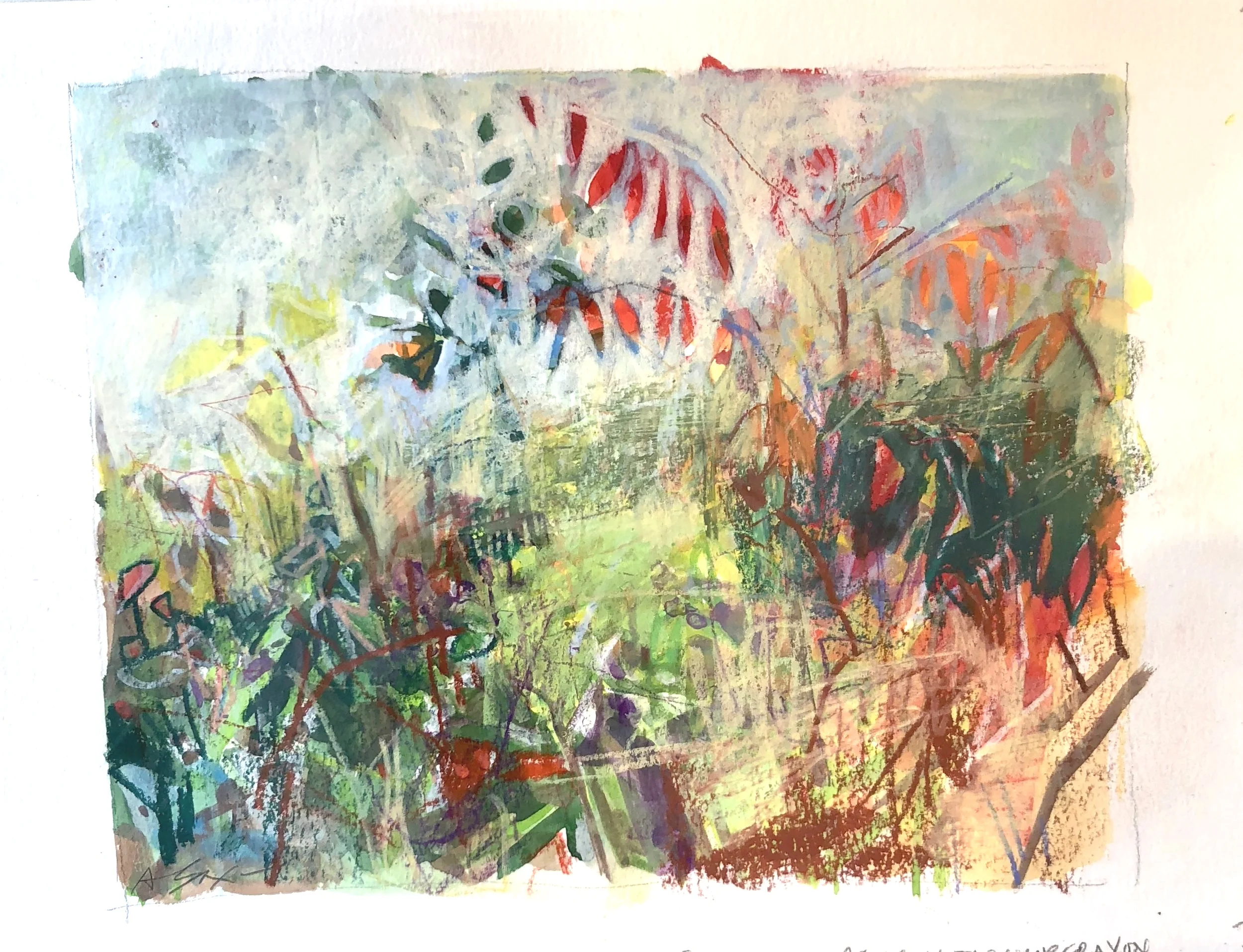 Dancing Sumac