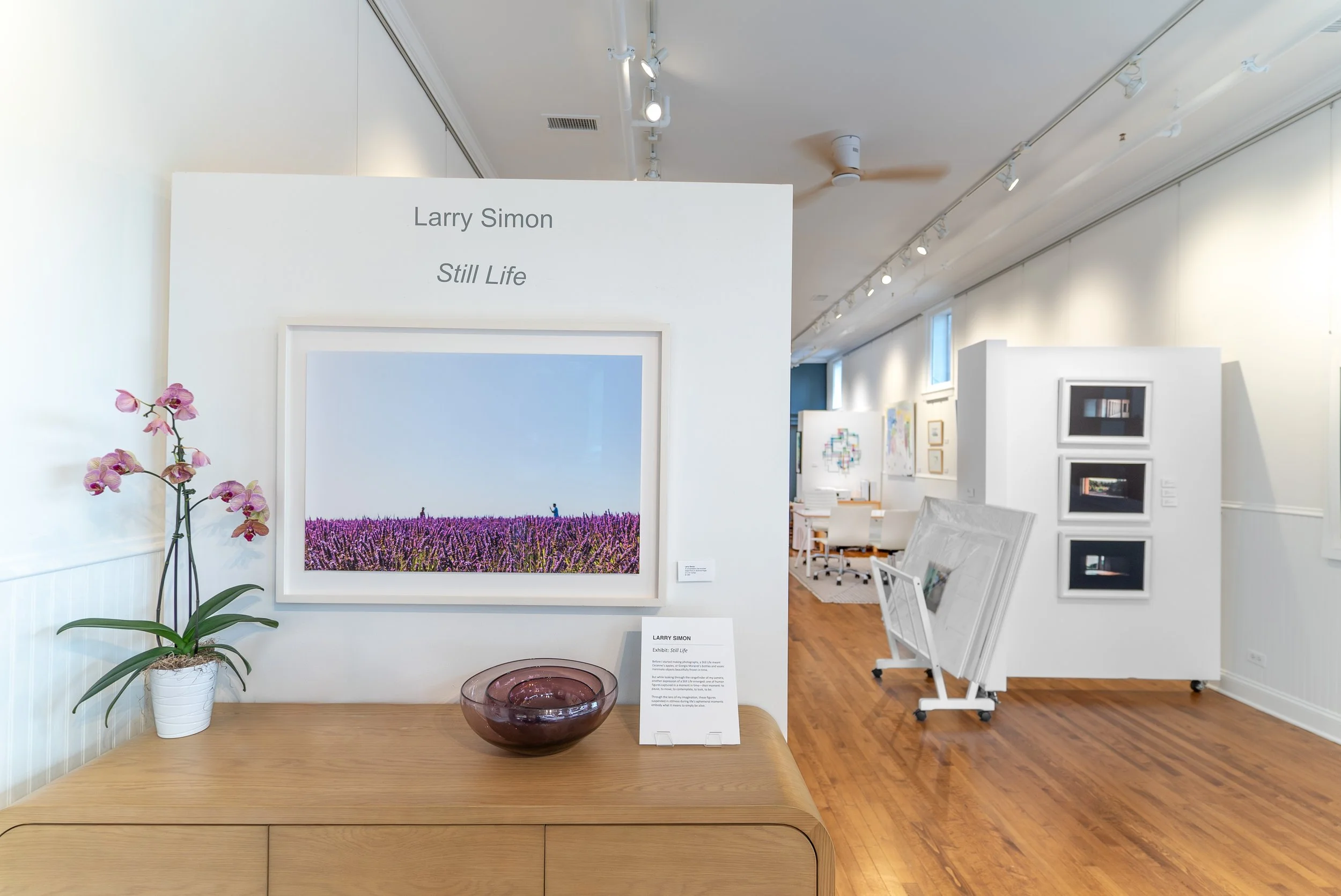 The Gallery — Vivid Art Gallery
