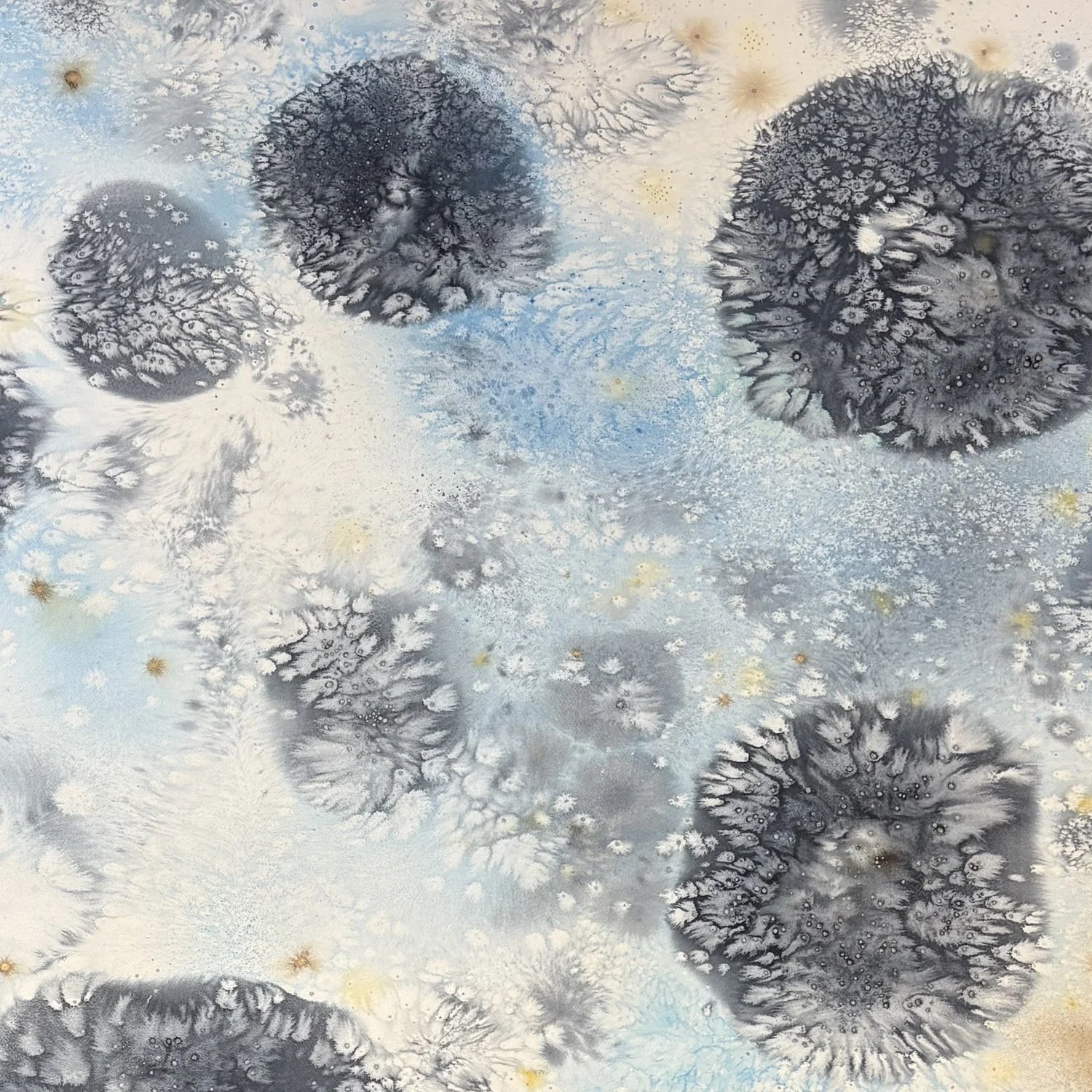 Cosmos Fractals 7/24