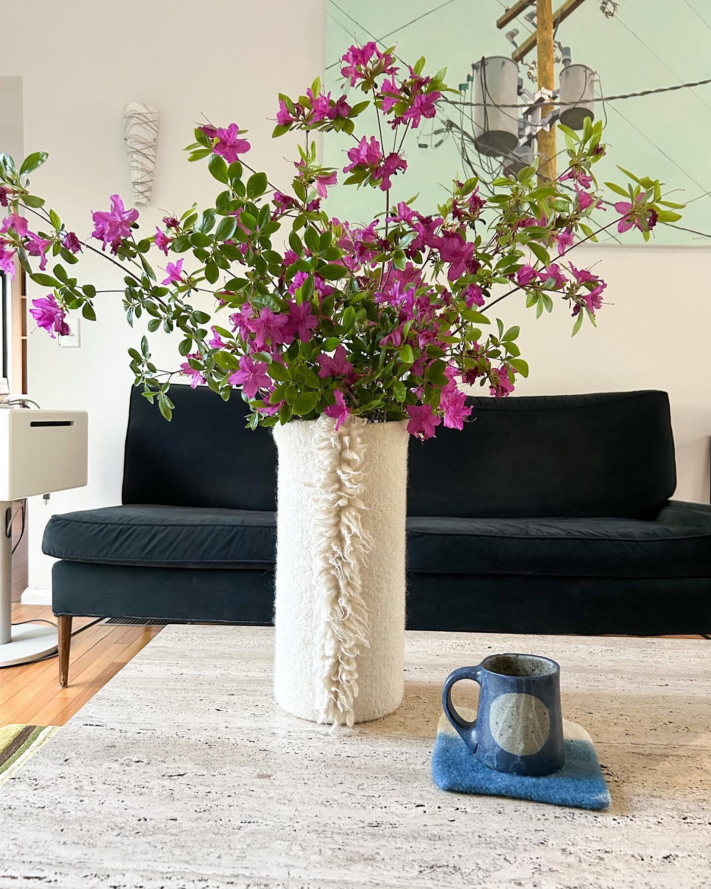Taking advantage of the annual shrub trimming away from the house to put some azaleas in my giant fringe vase. (Coffee cup for comparison.)