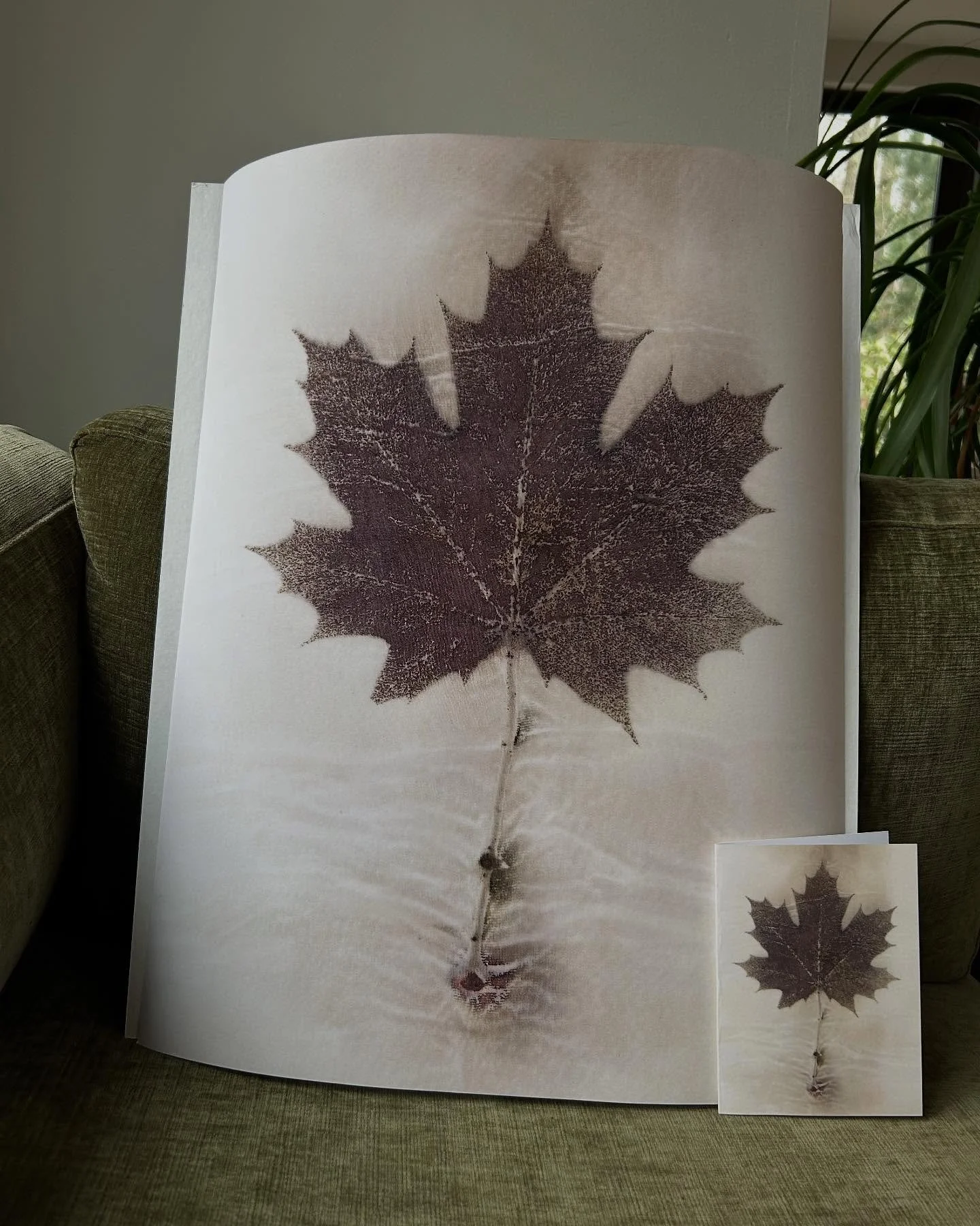 I&rsquo;ve been thinking a lot about scale and changing perspectives recently. Same image - one card size and the large is 16&rdquo; x 20.&rdquo; Very different experiences - love both though. The cards are available with the link in bio - prints are