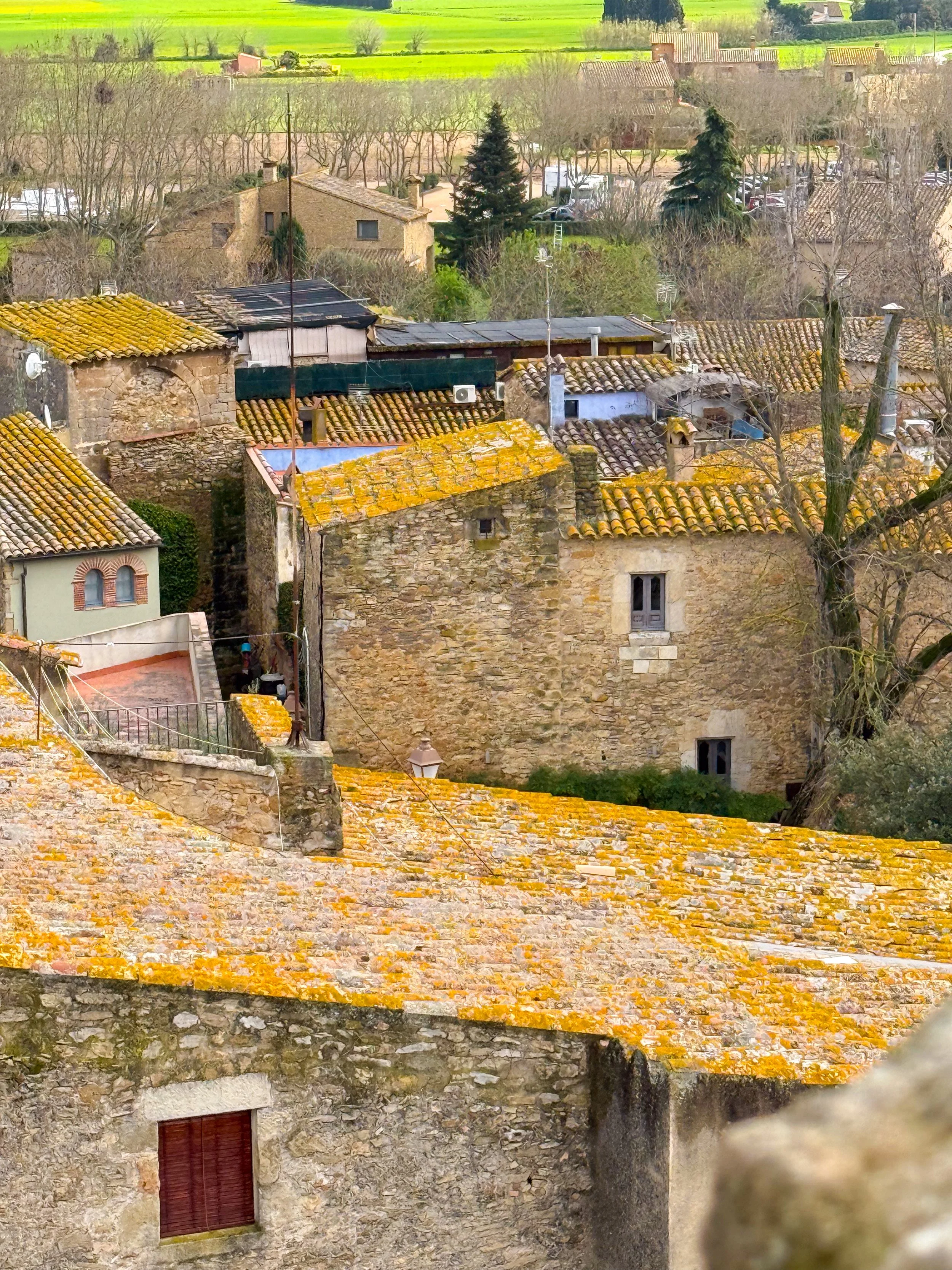 Viva Catalonia