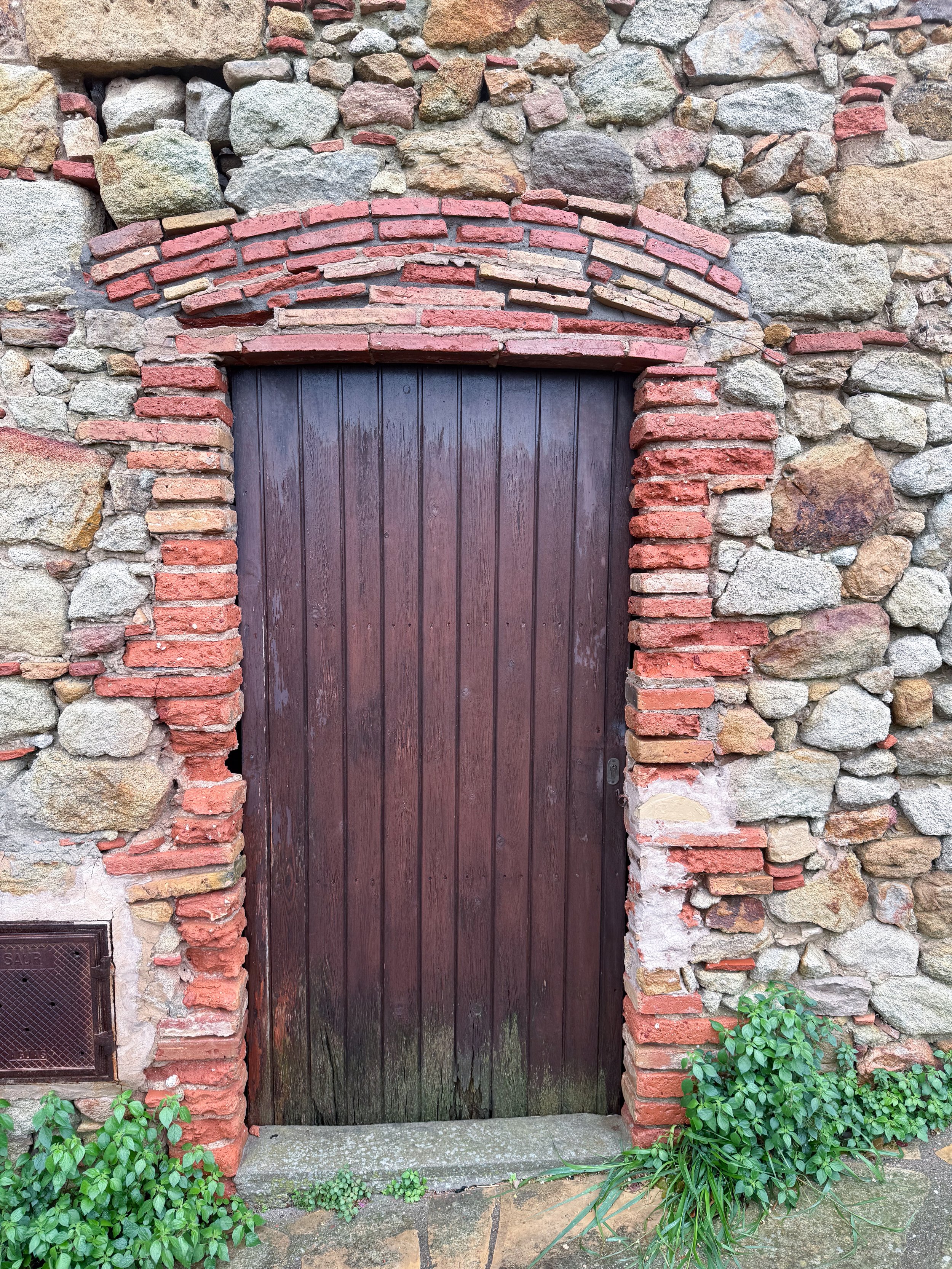 wooden_door_w:bricks.jpg