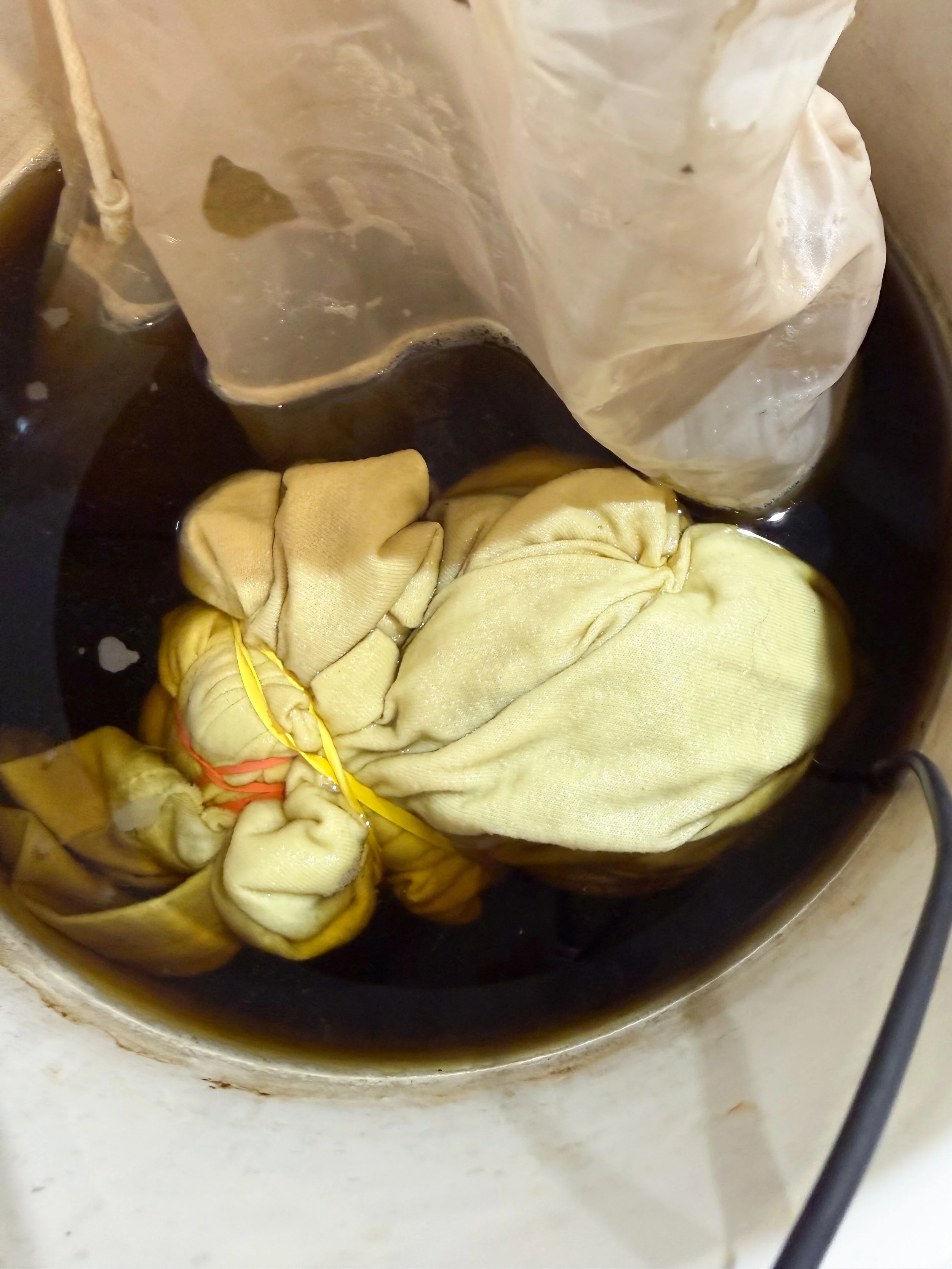 white_tshirt-dyed yellow_in_sagedyebath.jpg