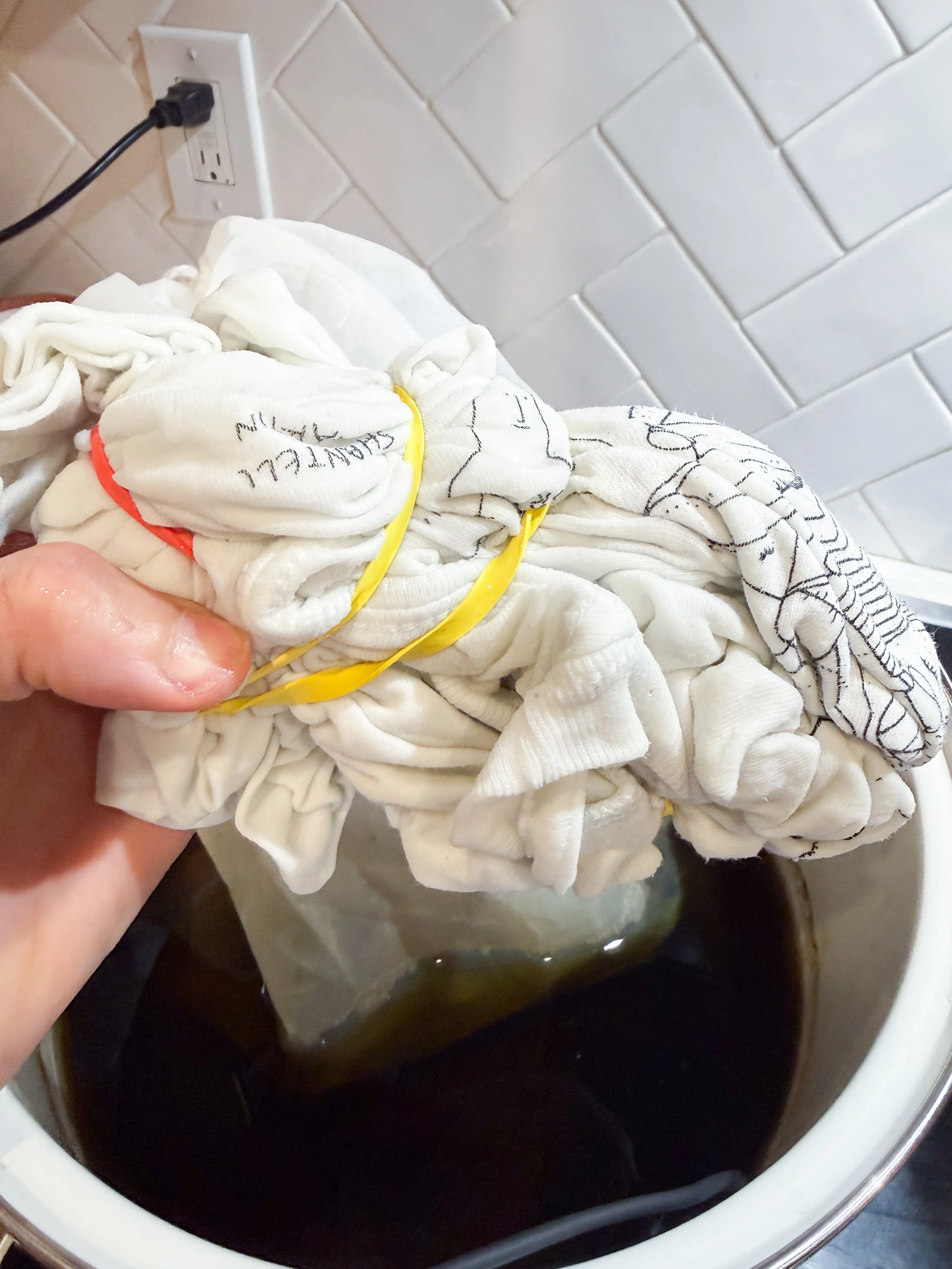 white_tshirt_before soaked_insagedyebath.jpg