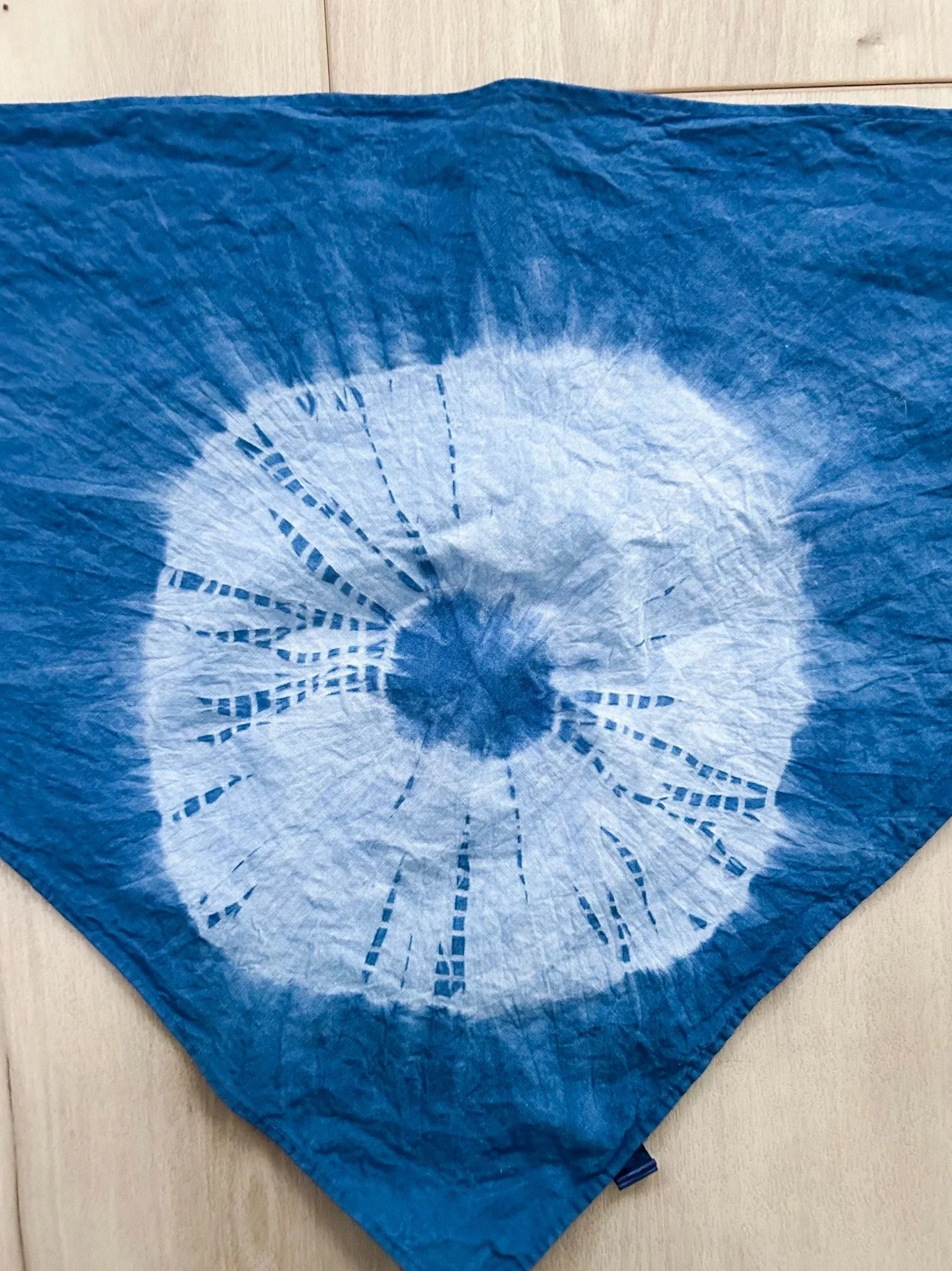 spiderweb_dog_bandana_flat.jpg