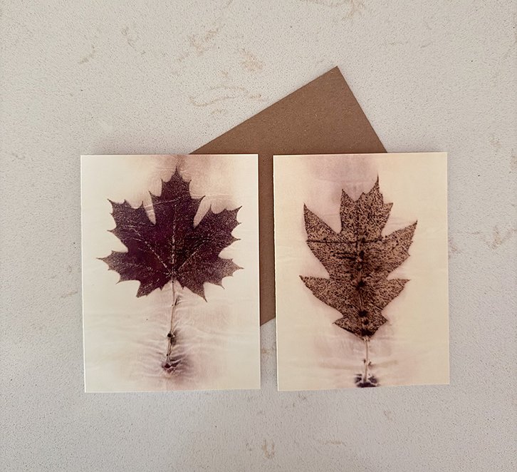 oak&maple_leaves_cards.jpg