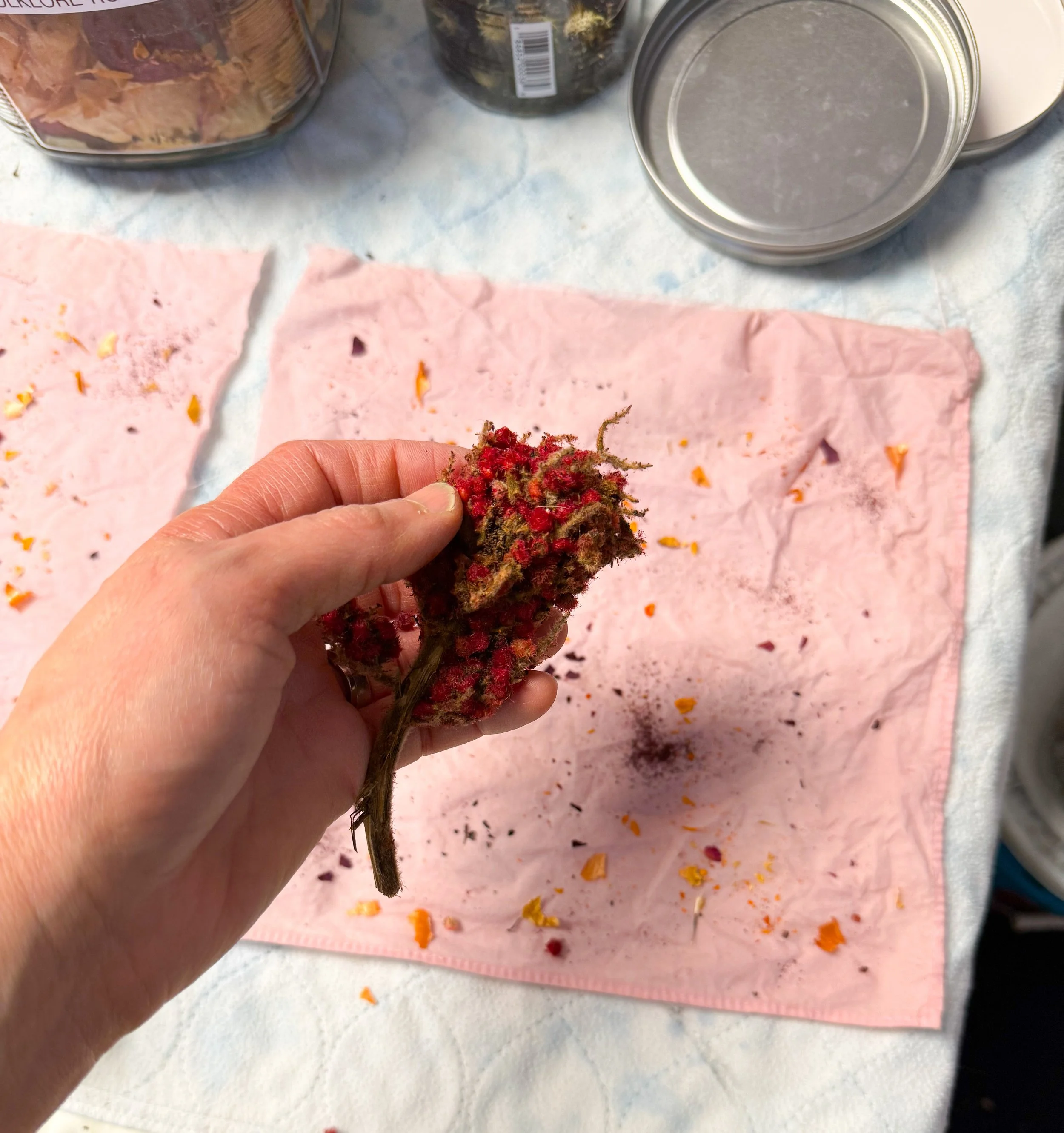 process_pink_bundledye_sumacberries.jpg