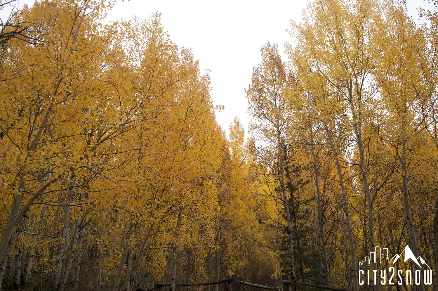 Baldy Mountain Breckenridge Trip Report