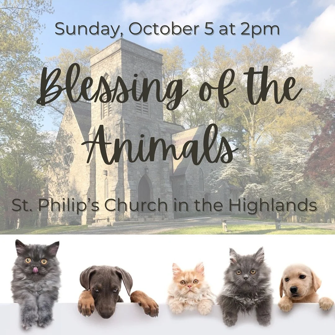We&rsquo;re absolutely thrilled to remind you that today at 2pm, St. Philip&rsquo;s Church will be hosting our heartwarming Blessing of the Animals! This joyful celebration provides a wonderful opportunity for both individuals and families to come to
