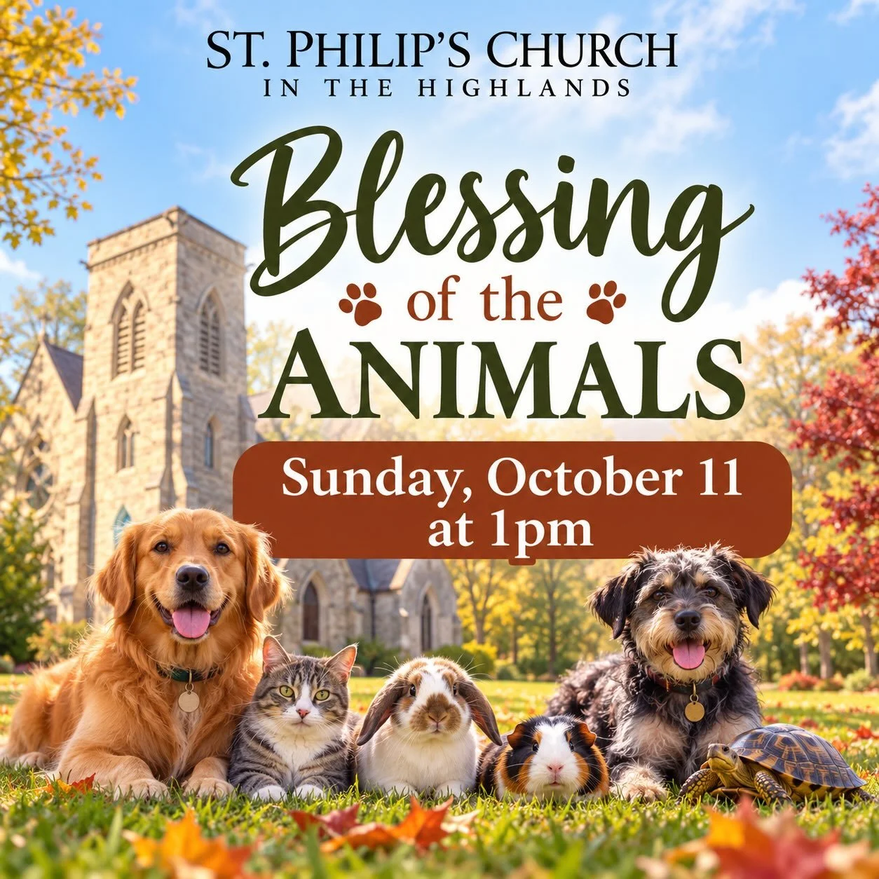 🐾 Blessing of the Animals 🐾

Bring your furry, feathered, or scaly friends to St. Philip&rsquo;s for our annual Blessing of the Animals on Sunday, October 11 at 1pm!

Join us as we celebrate the wonderful creatures who share our lives and give than