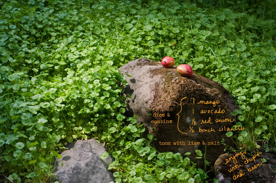 tumblr_lvwtrx2g3G1r4p2epo2_r1_1280.jpg