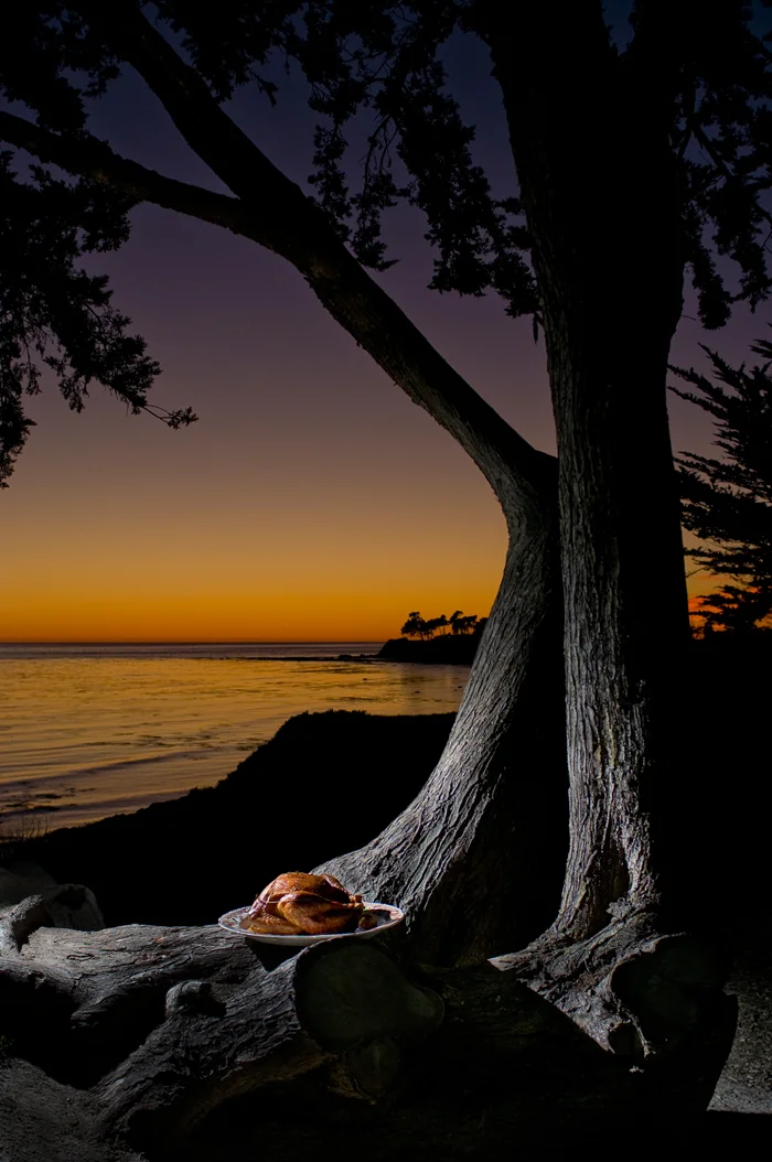 Happy Thanksgiving! Hope everyone is cozy at home with lots of food and family. Every year I go to Santa Barbara where my family spends the weekend cooking, eating, surfing and walking on the beach. We always BBQ the turkey outside at my aunt & uncle’s beach house. I snapped this photo of our turkey last year as it came off the grill and was about to be carried to the table.