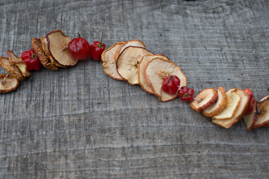 Dried Apple Garland