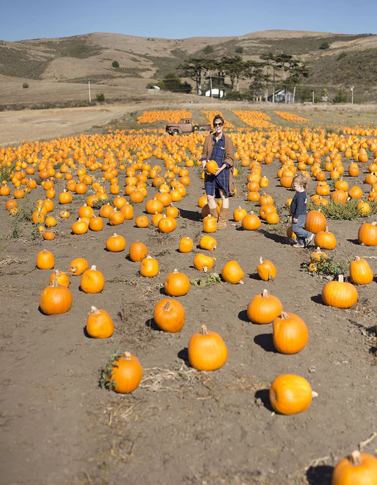 at Bob's Pumpkin Patch in Half Moon Bay with Ezra.