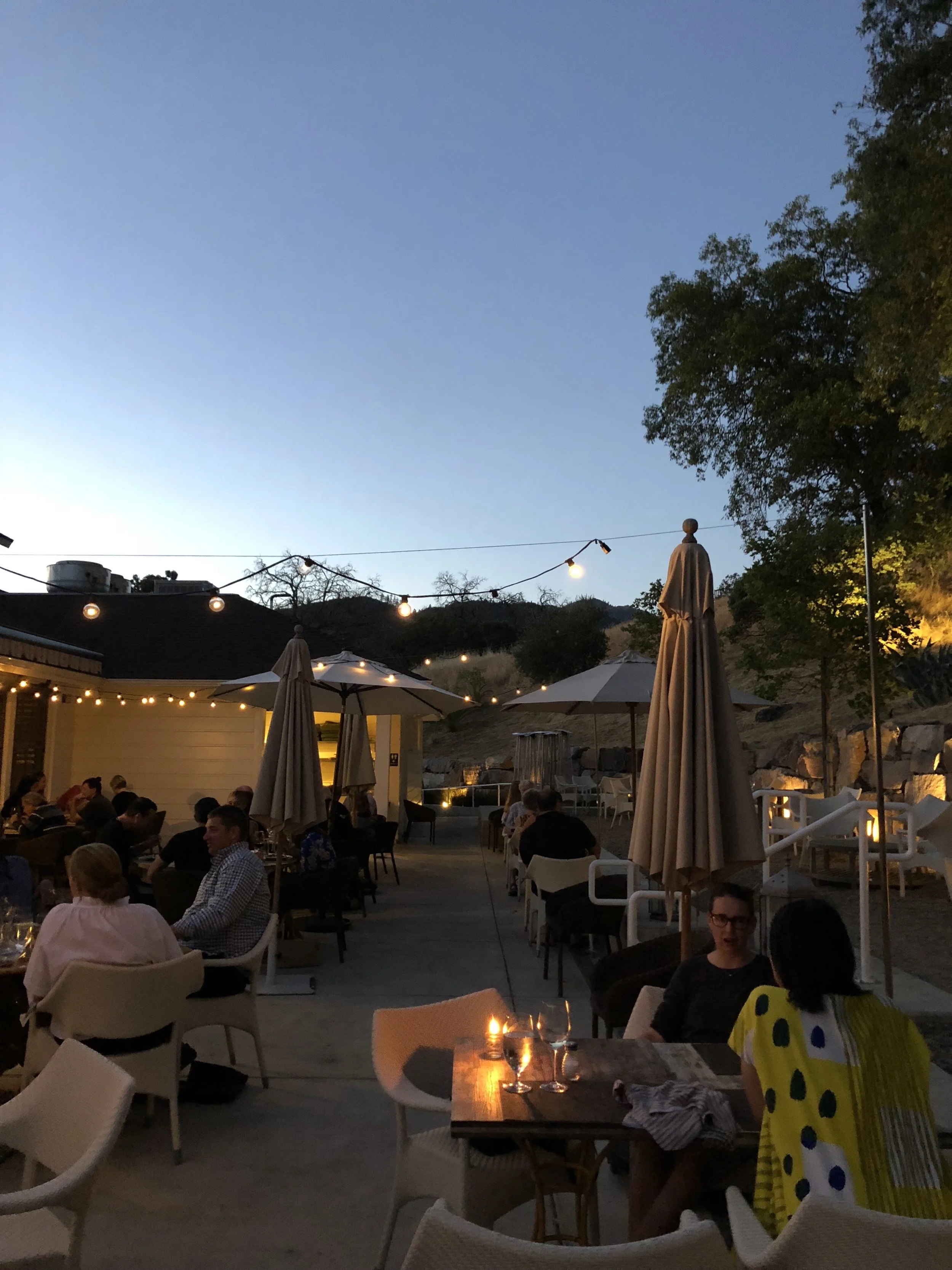 We had dinner at the restaurant at Indian Springs, Sam's Social Club. I thought the food was great. Aperol spritzes alongside deep-fried Brussels sprouts, grilled artichoke and burrata with fried bread. Yum!