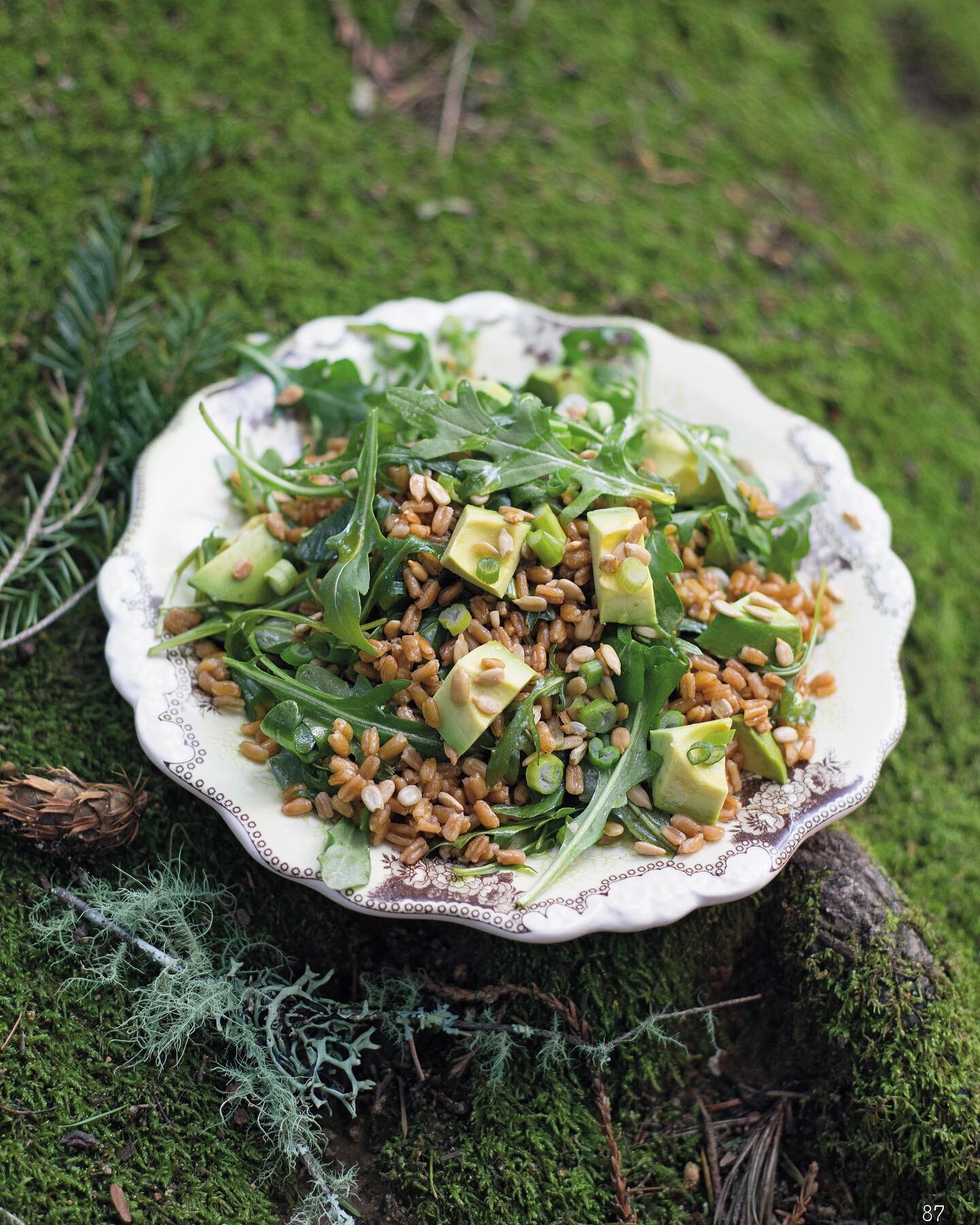 Sesame Farro Salad&mdash; the dressing is the key (and basically what I put on everything these days!). This is one of my go-to salads when having people over. 

p. 87 from #ForestFeastGatherings 

#vegetarian #vegan #recipe #plantbased #easy #farro 