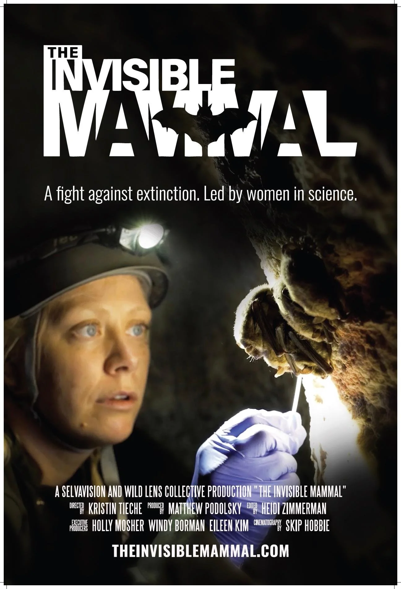 invisible-mammal.jpg