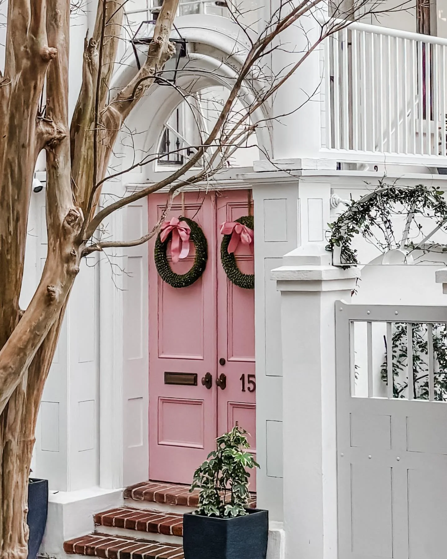 Merry moments closing out 2024. Many wishes for a joyful new year ✨