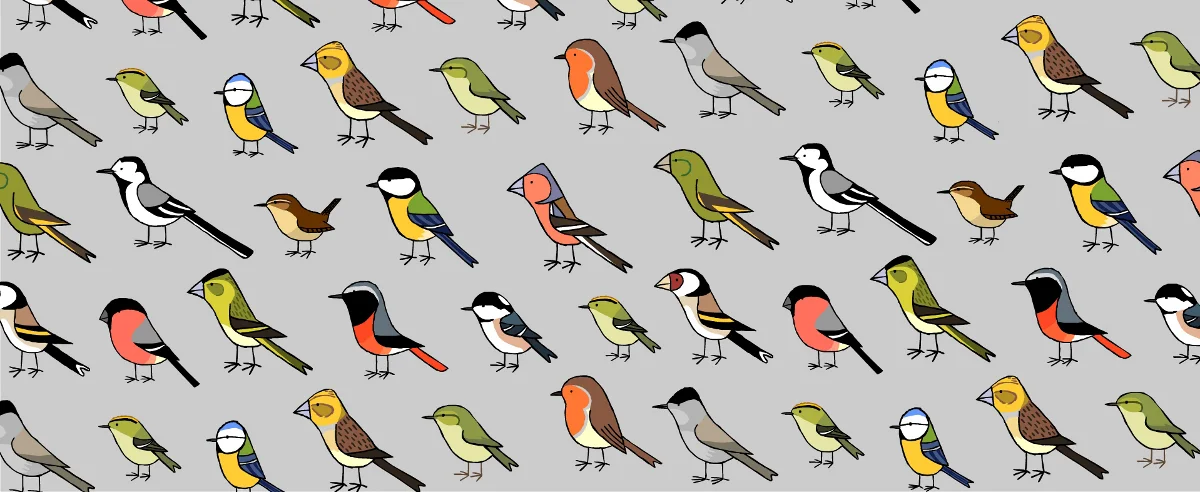 wood thrush notes — Bird News — The Wood Thrush Shop