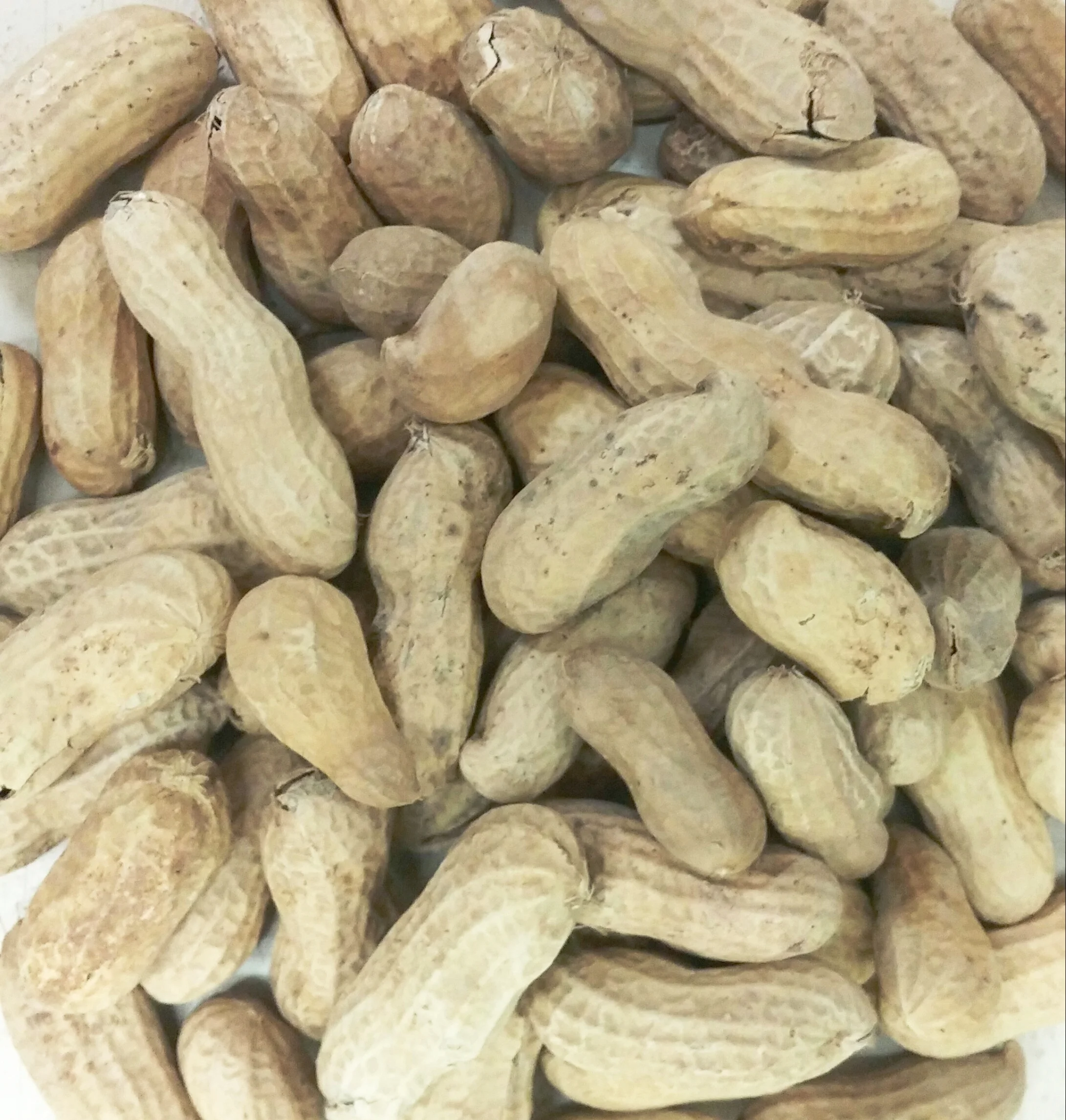 rawpeanut.jpg
