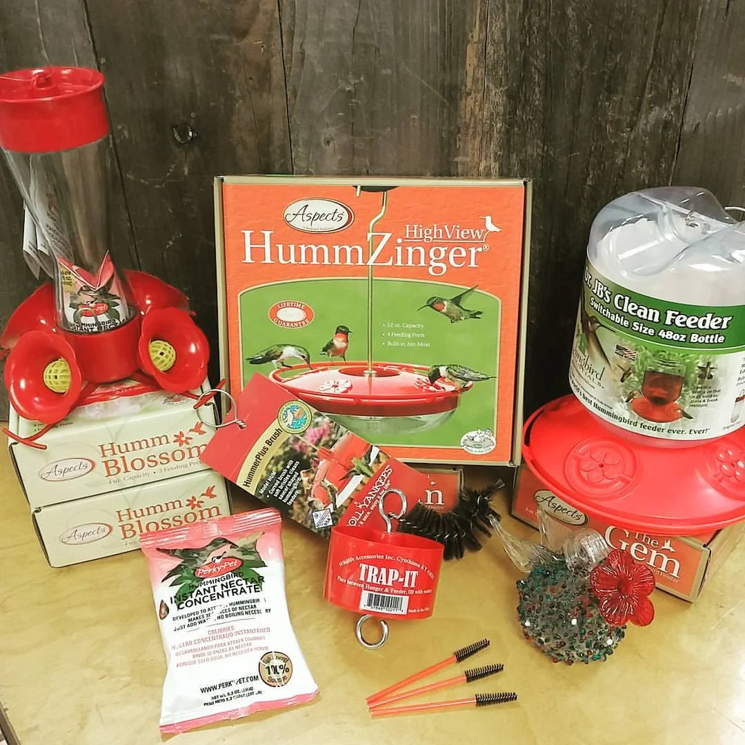 Hummingbird feeders are great for the birder in your family.