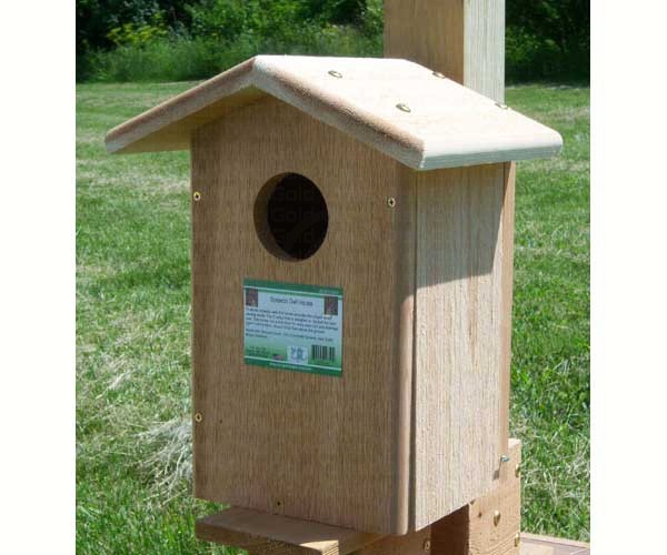Screech Owl nesting box availible at the shop.