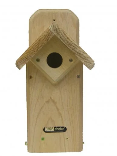 Birds choice BB2.jpg