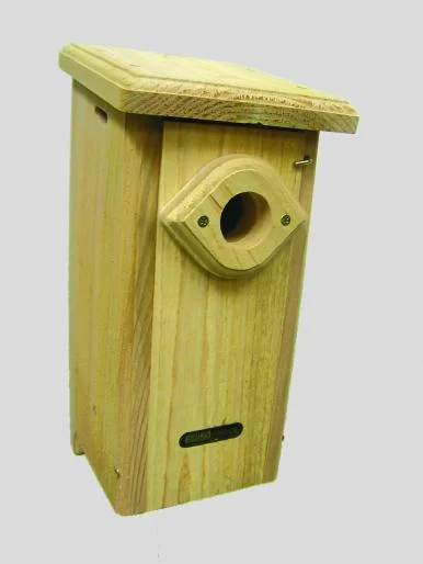 Birdes choice BB.jpg