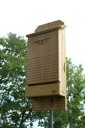 Three chamber bat house.