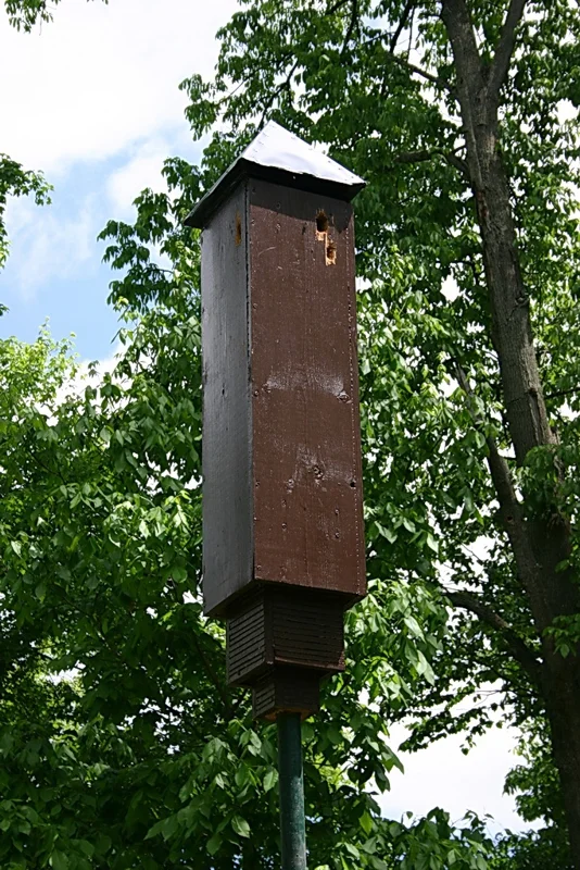 Rocket style bat house.