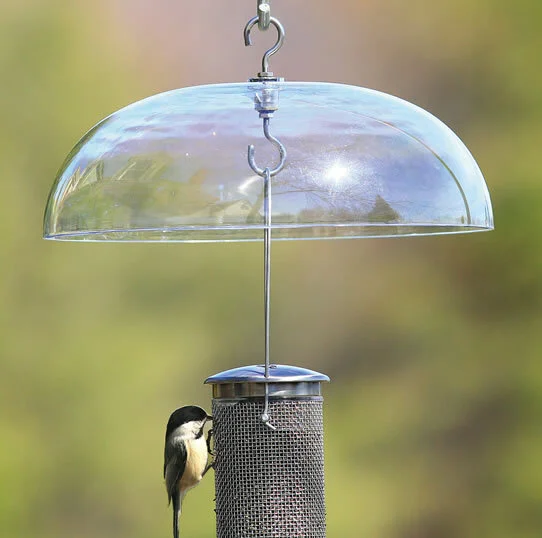 Weather Guards Bird News The Wood Thrush Shop