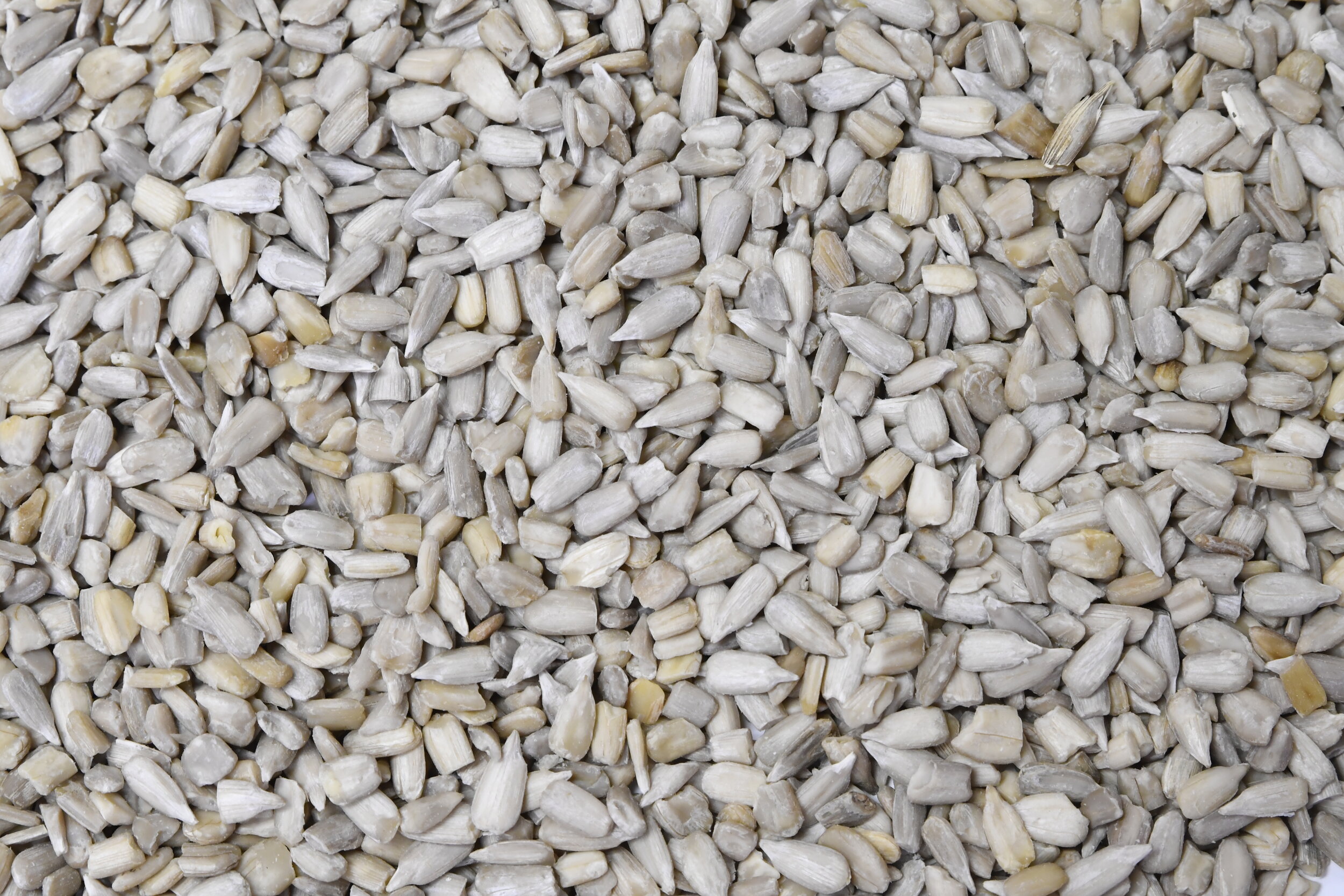 Sunflower Hearts