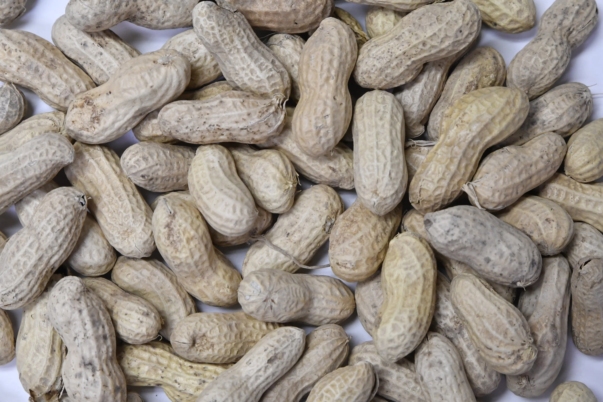 Raw Peanuts