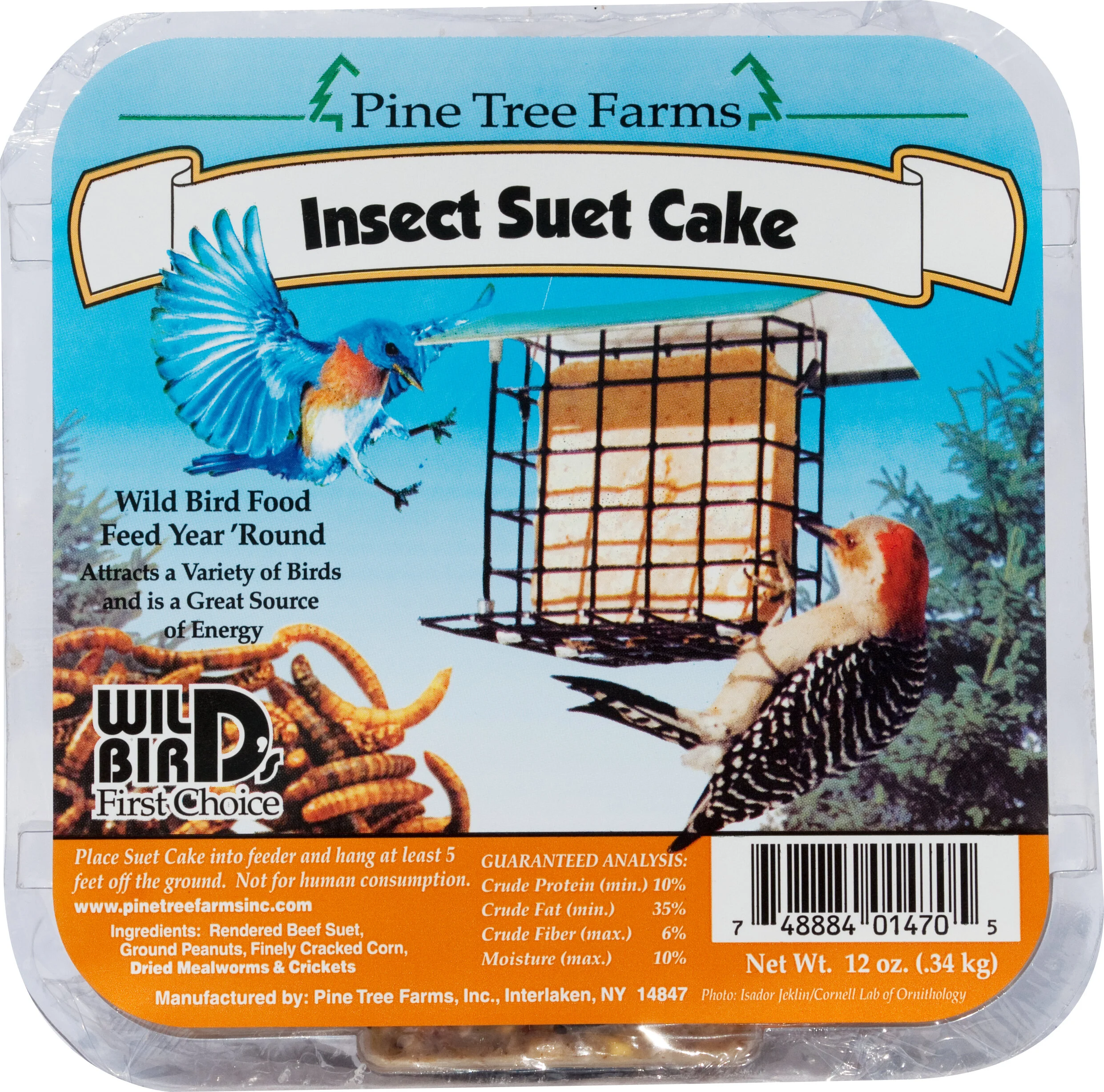 Insect Suet Cake