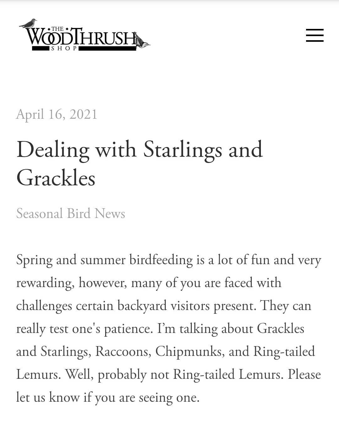 Have you been seeing Starlings and Grackles at your feeders? Read our blog post for some tips on how you can minimize their activity.
www.thewoodthrushshop.com/news/

#europeanstarling #commongrackle #dealingwithstarlingsandgrackles #woodthrushblogpo