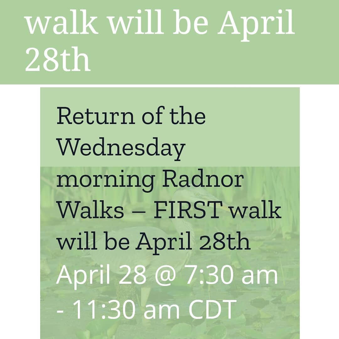 The Nashville chapter of the Tennessee Ornithological Society is resuming it's Wednesday morning bird walks at @radnorlake 
Visit www.tnbirds.org/events 
For more info.
#birdwatchingopportunity #radnorlake #ntos #springmigration