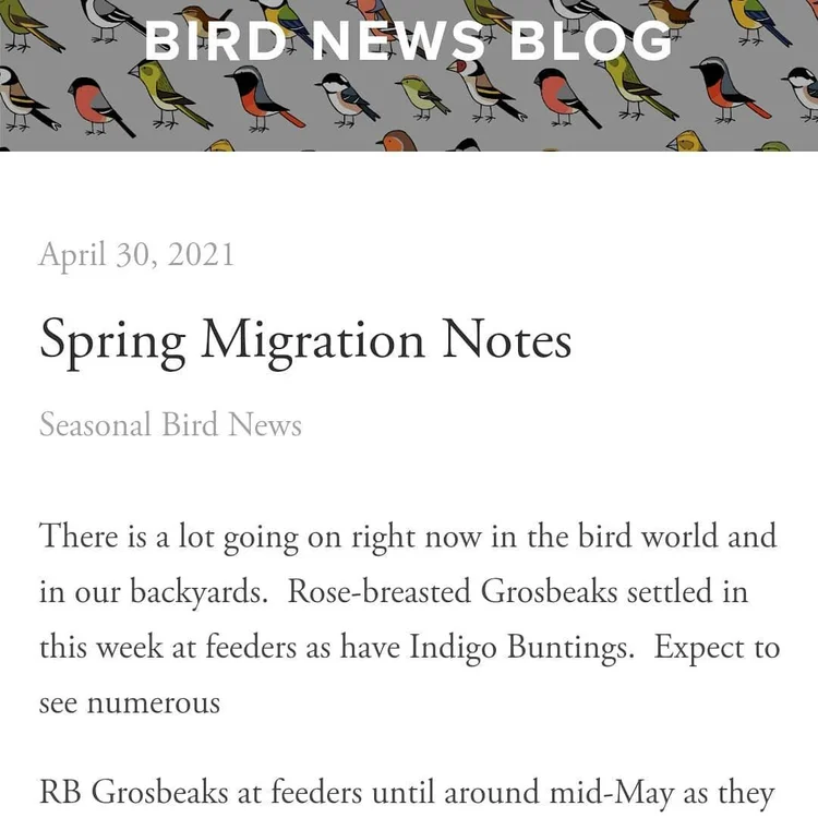 The Wood Thrush Shop